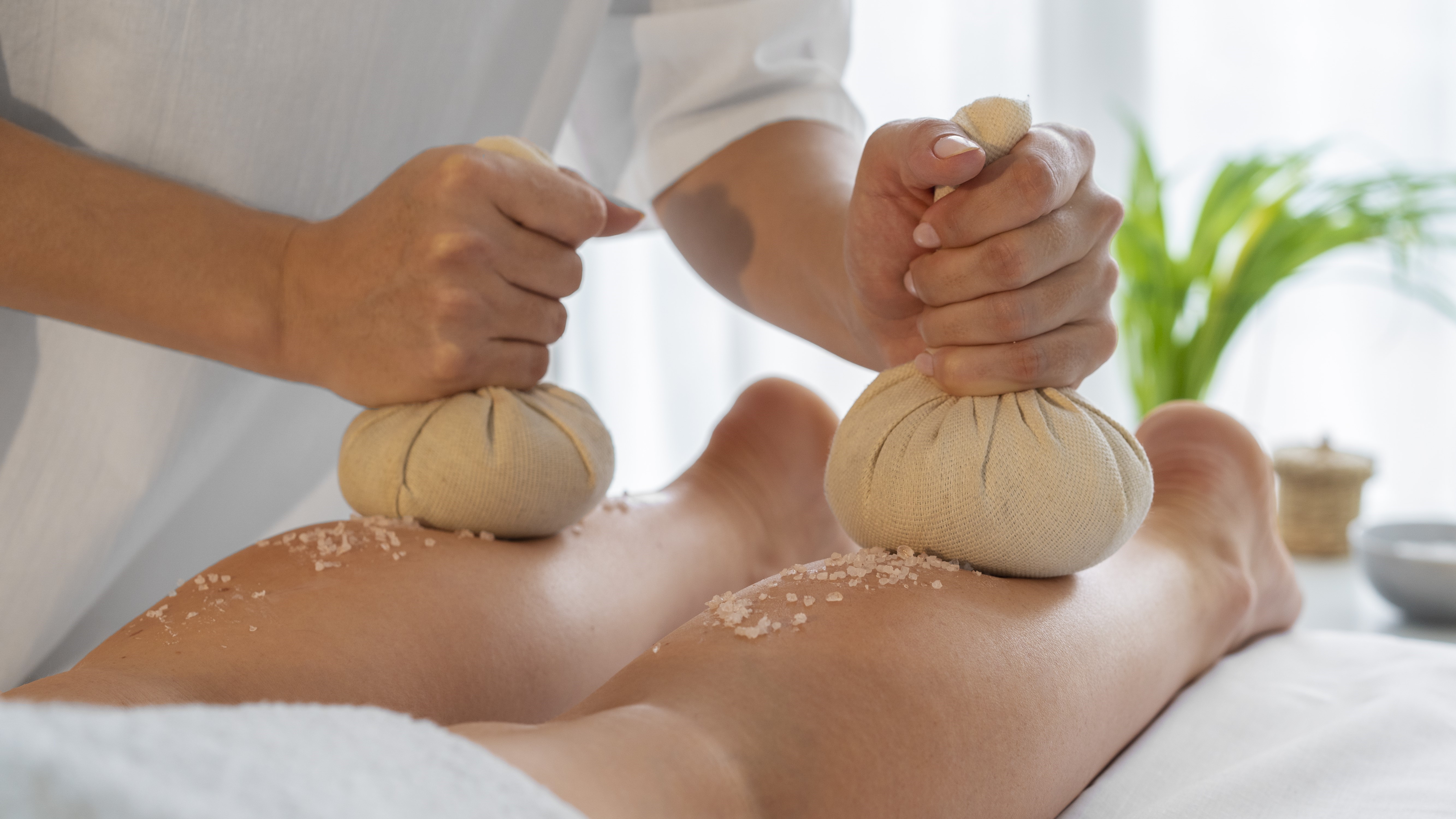 Panchakarma and Massage Course
