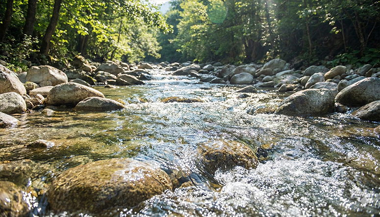 Crystal clear mountain stream flowing over smooth stones symbolizing the purity and divine nature of Jala