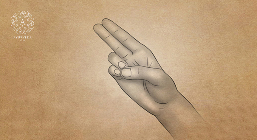 Illustration mudra of life