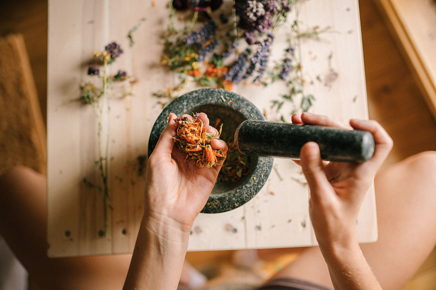 Illustration of a healer grinding fresh herbs in a mortar for custom Virechana purgative formulations