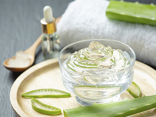 Ayurvedic Remedies for Mosquitoes and Midge Bites