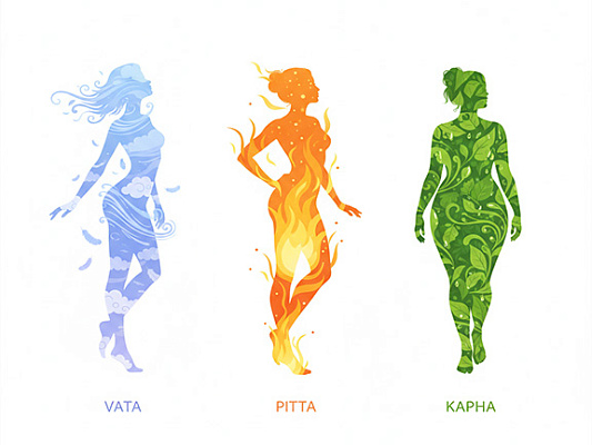 The Three Doshas