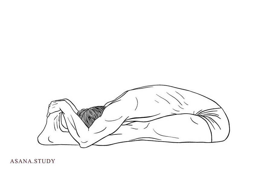 Line art illustration of a man in Paschimottanasana relieving spinal tension