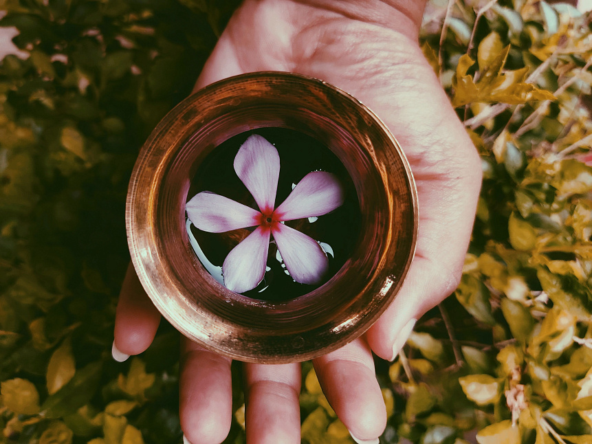 Body purification and dosha harmony within Panchakarma.