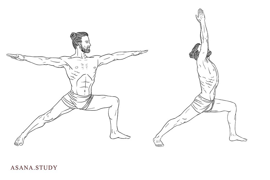 Line art illustration of a man in Warrior poses strengthening the leg muscles