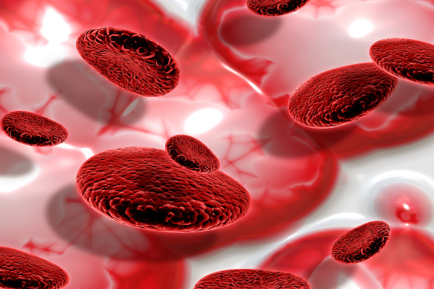 3D render of red blood cells flowing to illustrate the life-sustaining concept of Rakta