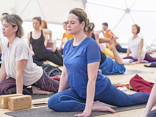 Yoga for Beginners