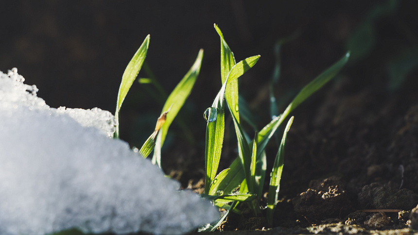 Photography of melting snow and a spring stream highlighting the damp qualities of Kapha season