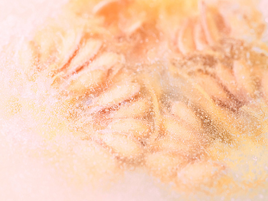 Meda-dhatu — Adipose Tissue in Ayurveda