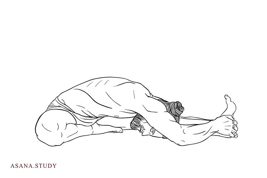 Line art illustration of a man in Janu Shirshasana stretching the back of the leg