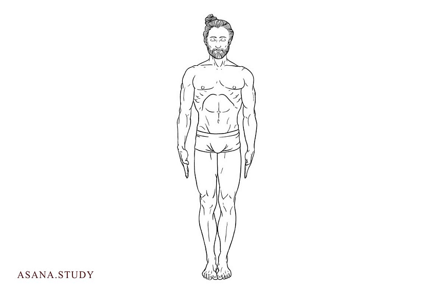 Line art illustration of a man standing in Tadasana for proper foot weight distribution